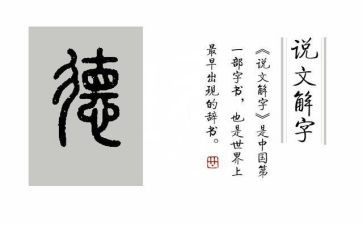 新教师师德师风心得体会最新7篇
