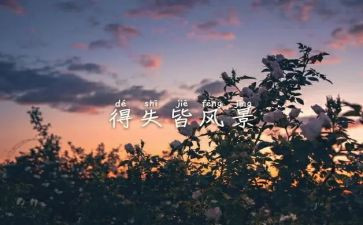 得与失材料作文模板6篇