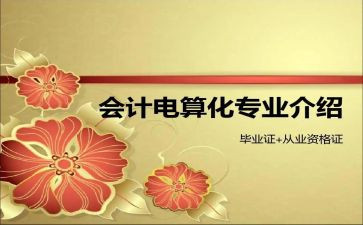 会计电算化的个人总结6篇