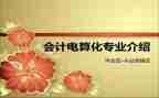 会计电算化的个人总结6篇