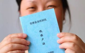 吃低保不工作总结精选8篇