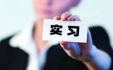顶岗实习个人总结500字5篇