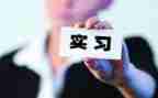 顶岗实习个人总结500字5篇