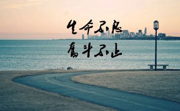 终于懂了作文8篇