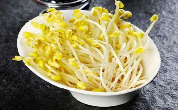 生豆芽炒豆芽作文推荐8篇