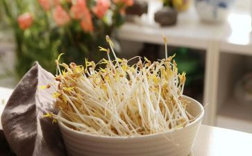 种豆芽炒豆芽作文6篇