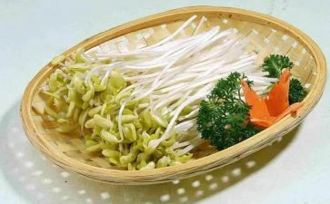 炒豆芽作文6篇