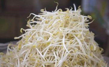 生豆芽炒豆芽作文通用6篇