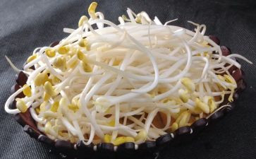 炒豆芽作文优秀5篇