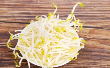 种豆芽炒豆芽作文优质8篇