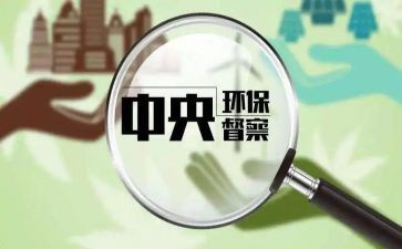 环保督查工作的工作总结5篇
