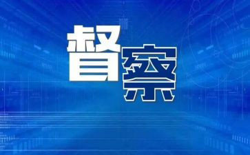 局督察工作总结6篇