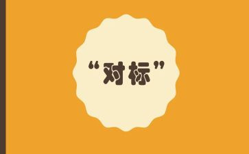 个人对标总结报告优秀6篇