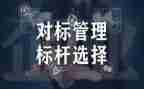 对标个人总结8篇