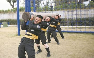 教师队伍改革心得体会7篇