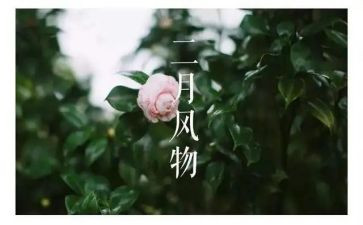大班十二月总结7篇