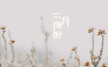 二月份教师月工作总结6篇