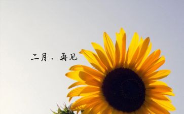 幼儿园第二月总结7篇