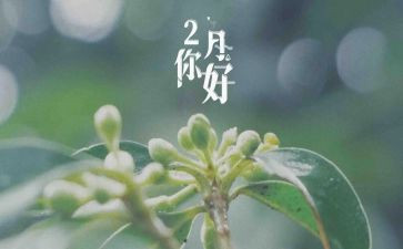 十二月幼儿园月总结8篇