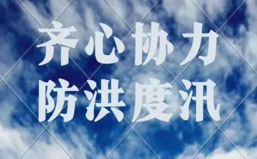 防洪工作报告7篇