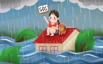 防汛演练周工作总结6篇
