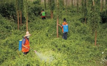 艾滋病防治宣传活动方案5篇