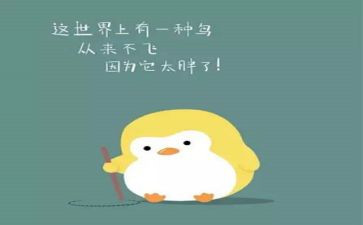 购化肥合同优质5篇