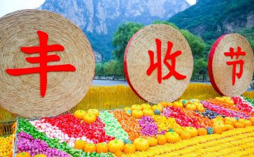 农民丰收节的活动方案8篇