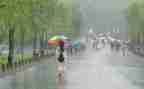 风雨后是彩虹作文优秀6篇