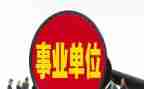 财务副科长述职报告7篇
