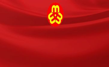 2023年村妇联工作总结7篇