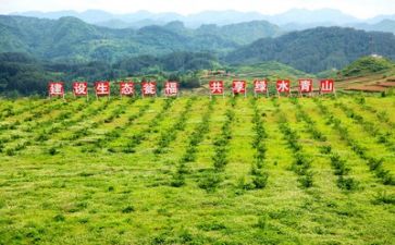 个人在扶贫工作总结范文6篇