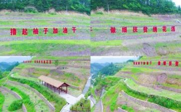 扶贫2023工作总结6篇