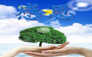 感恩老师作文300字7篇