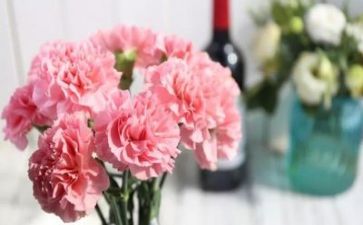 11月感恩节活动方案7篇