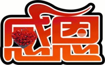 感恩活动总结优秀5篇