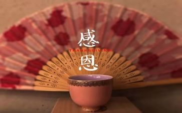感恩活动总结报告范文8篇