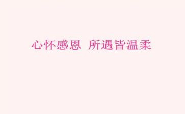 谈感恩作文700字优秀8篇