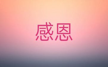 我感激她600字作文优秀6篇