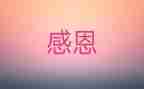 我感激她600字作文优秀6篇