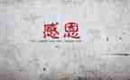 妈妈感谢我作文模板6篇