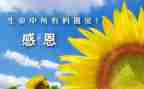 感谢朋友的作文优秀8篇