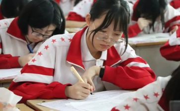 2023高三政治个人总结6篇