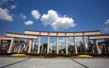 高校教师个人工作年度总结7篇