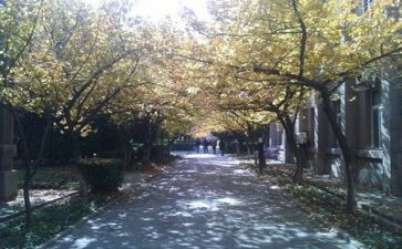 高校教师做工作总结8篇