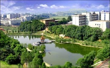 2024年高校教师工作总结报告5篇