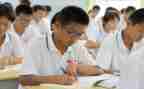 2023年高一语文教学总结5篇