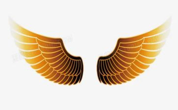 心的翅膀读后感推荐6篇