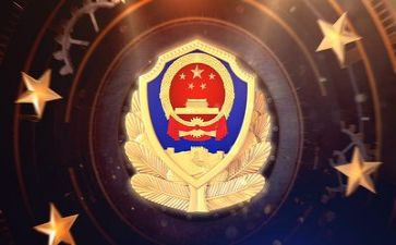 公安年终总结个人总结8篇