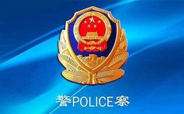 区公安工作总结6篇